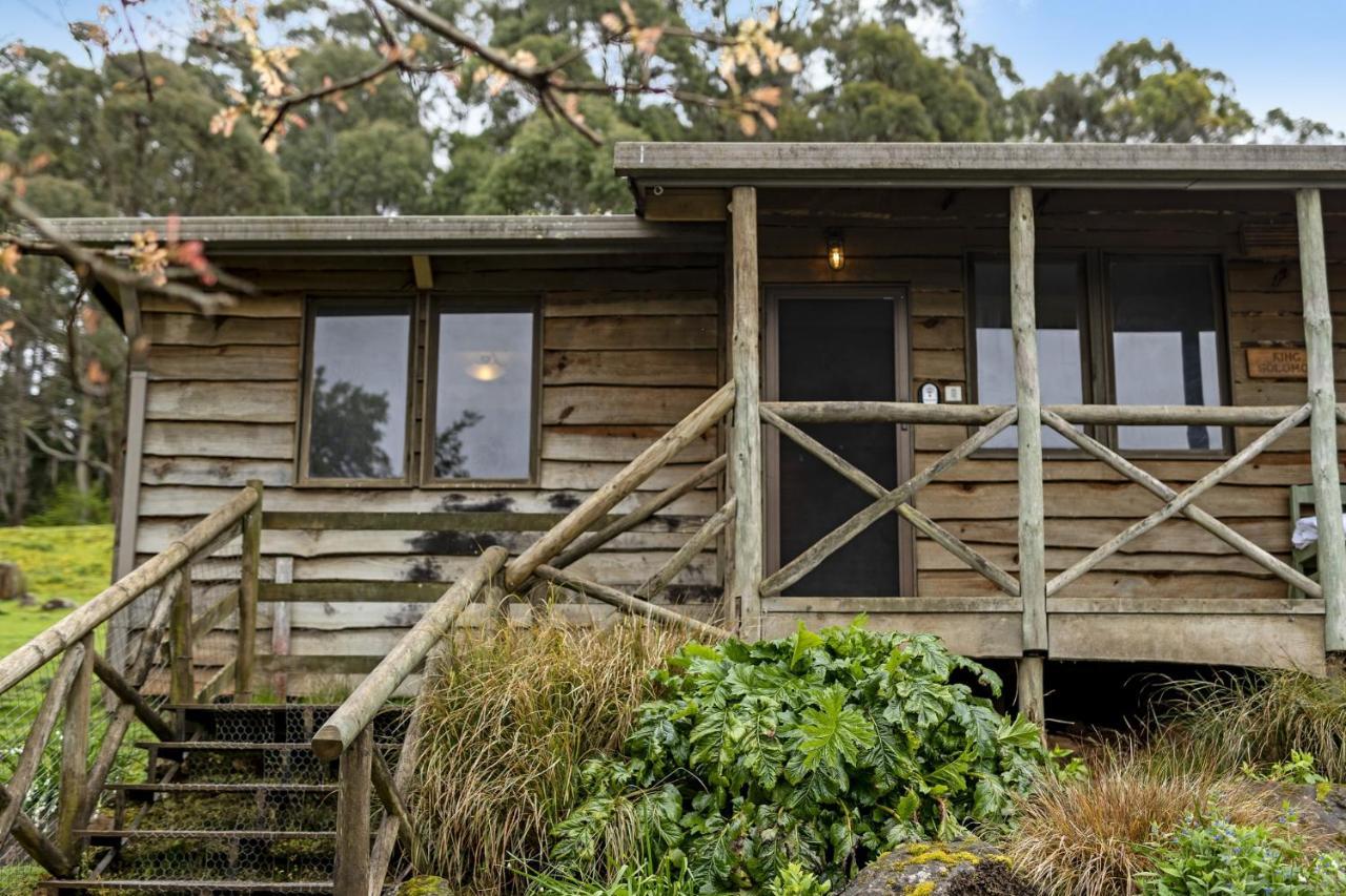 Mole Creek Cabins Buitenkant foto