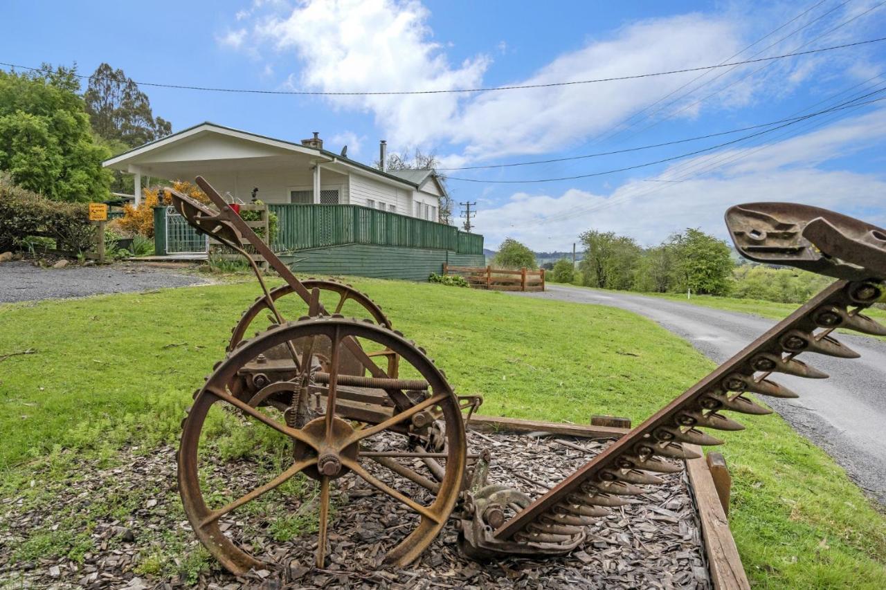 Mole Creek Cabins Buitenkant foto