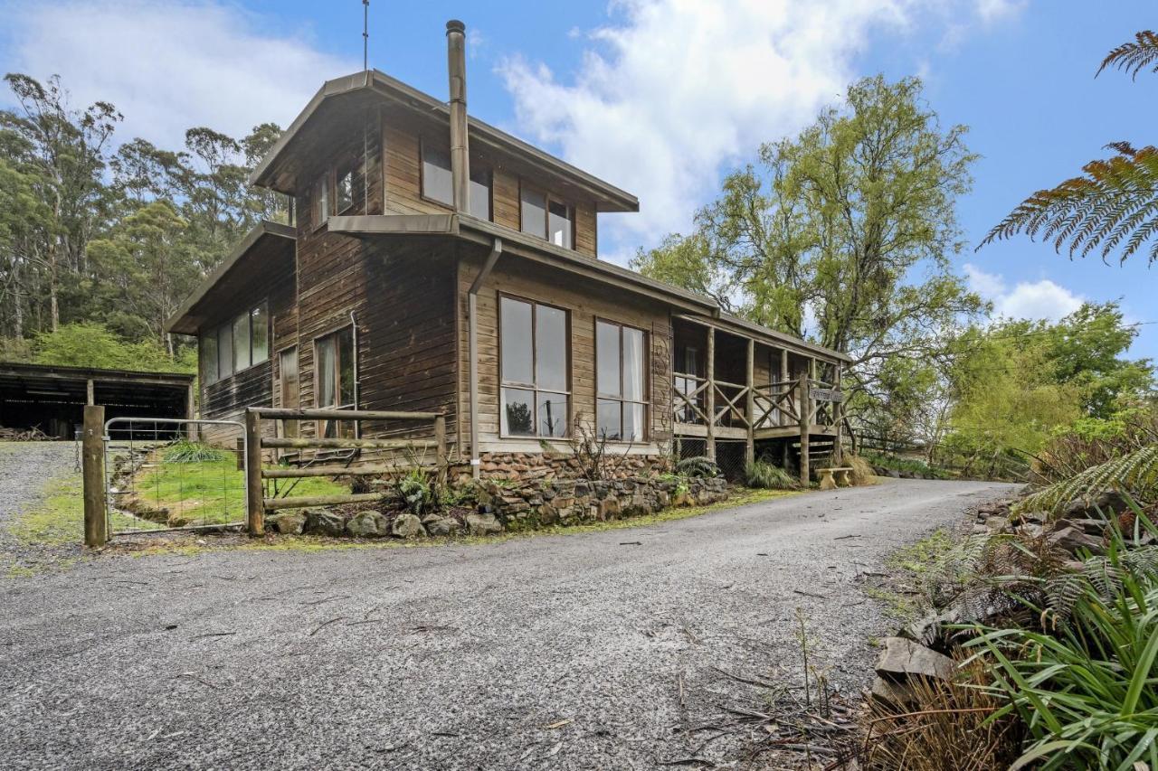 Mole Creek Cabins Buitenkant foto
